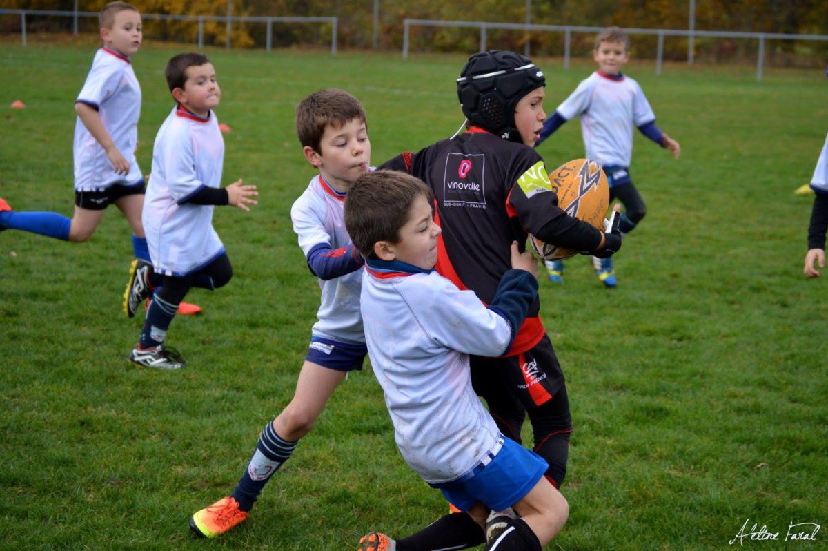 Écoles de rugby : bilan et perspectives